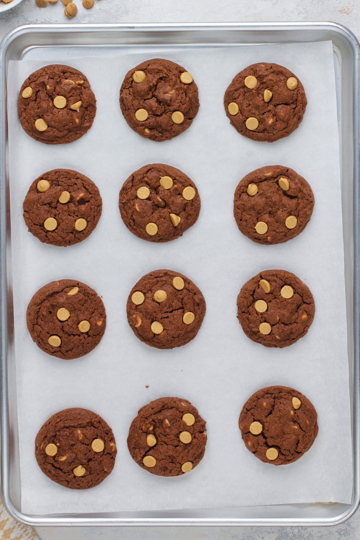Baked chocolate peanut butter cookies cooling on a baking sheet.