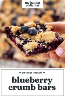 Hand holding up a blueberry crumb bar to the camera. Text overlay includes recipe name.