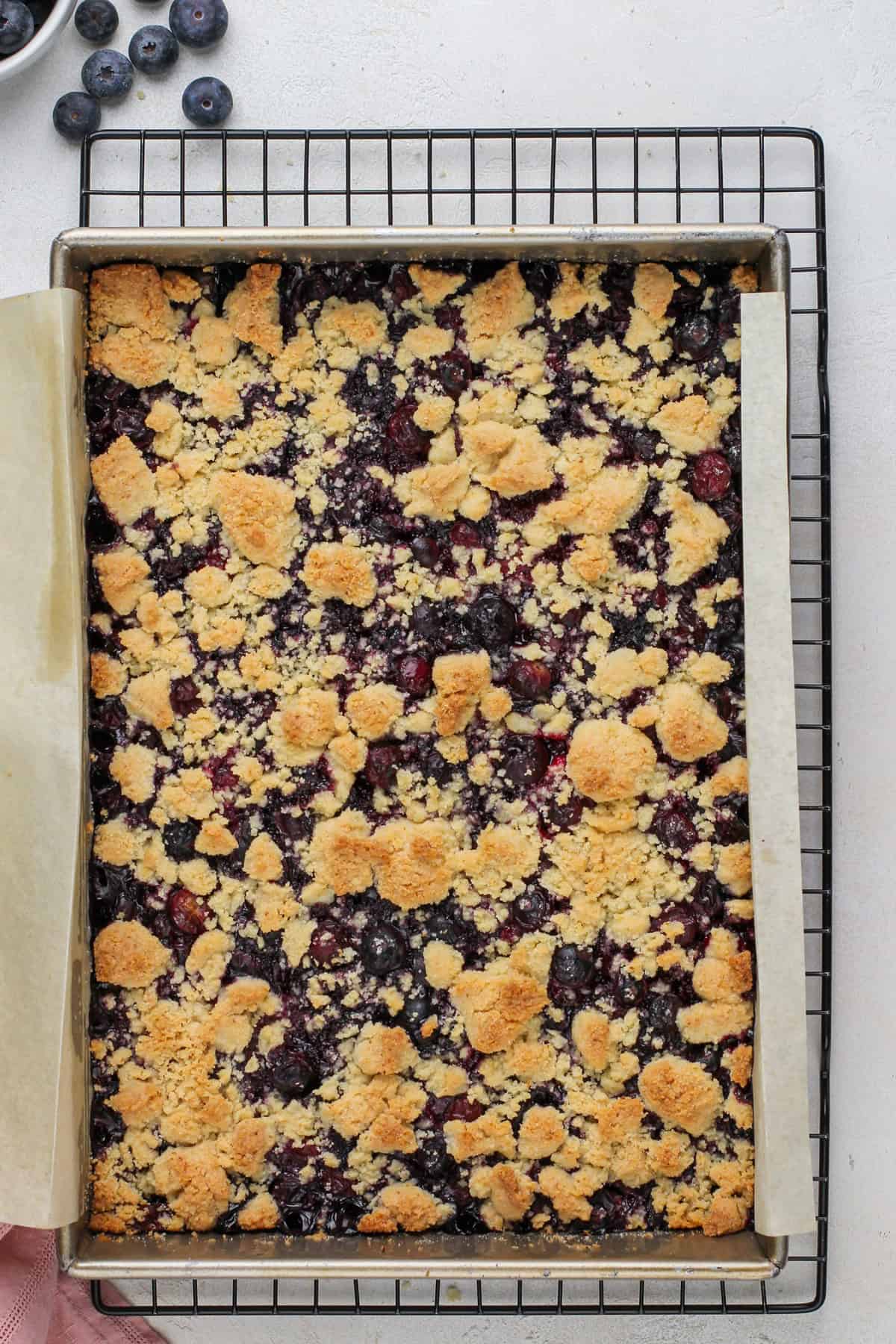Baked blueberry crumb bars cooling on a wire rack.