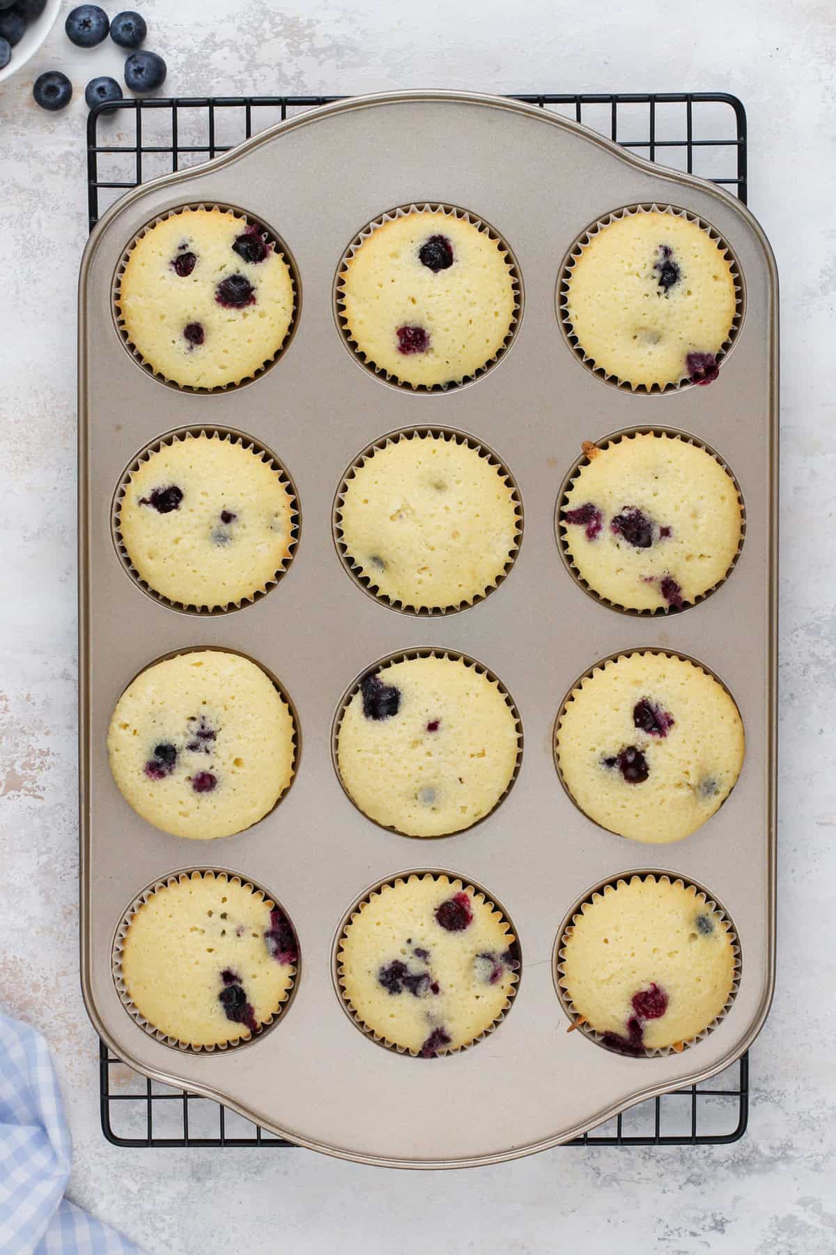 Baked blueberry cupcakes cooling on a wire rack.