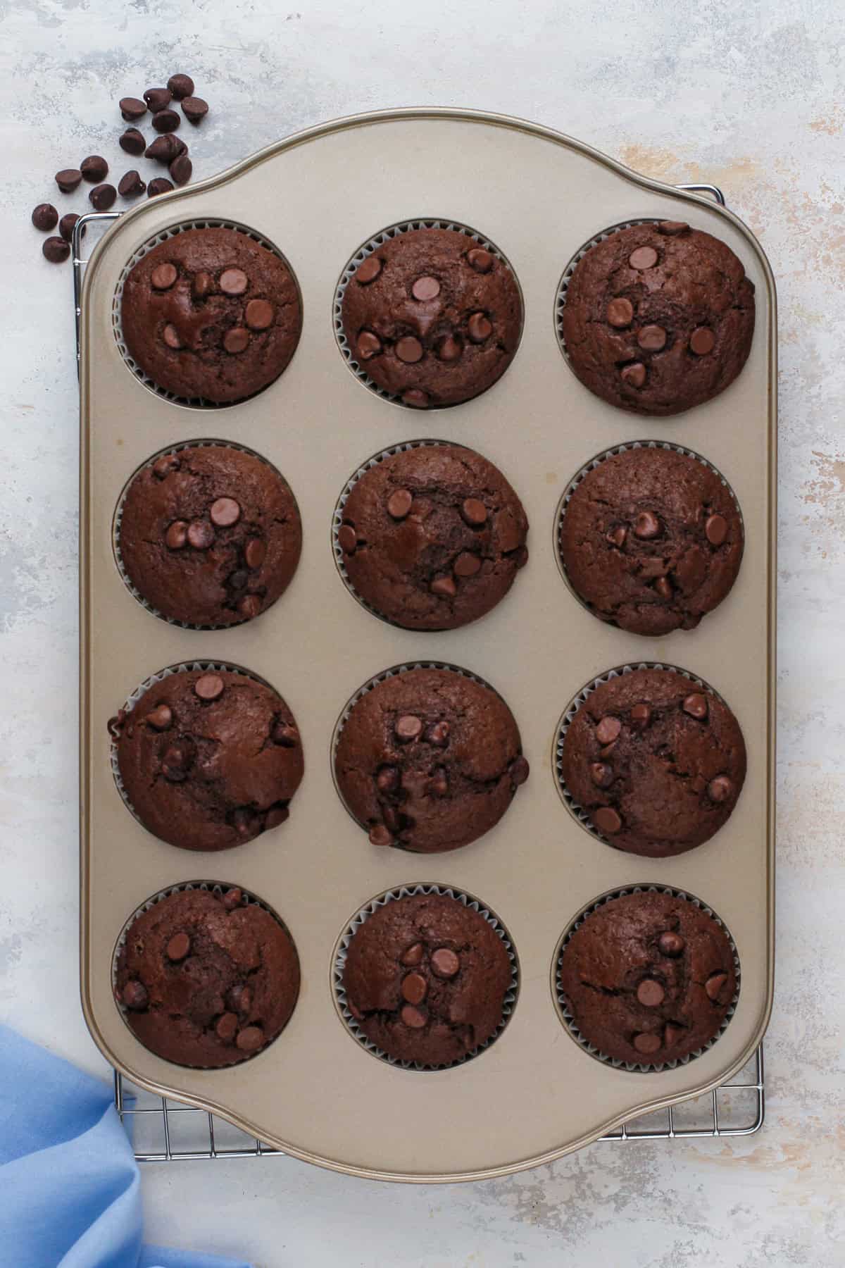Overhead view of baked chocolate muffins cooling in a muffin tin.