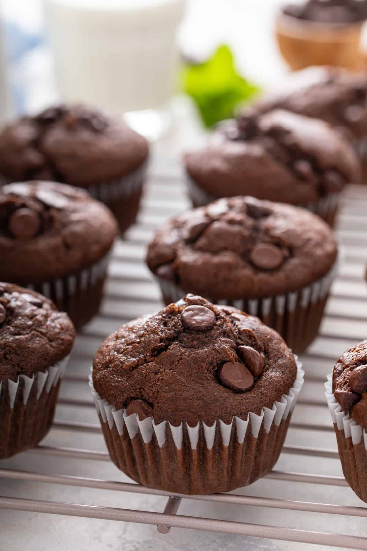Double chocolate muffins lined up on a wire cooling rack.
