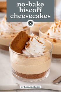 Close up of a glass ramekin filled with no-bake biscoff cheesecake and garnished with whipped cream and a biscoff cookie. Text overlay includes recipe name.