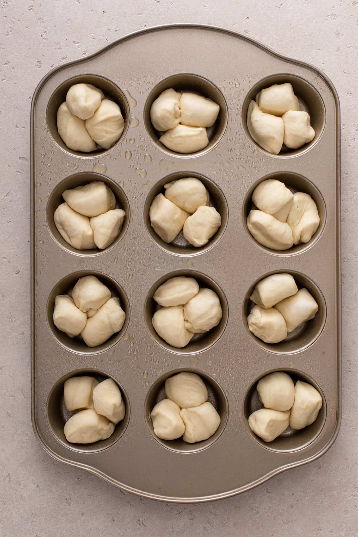 shaped cloverleaf rolls in a muffin tin, ready to rise.