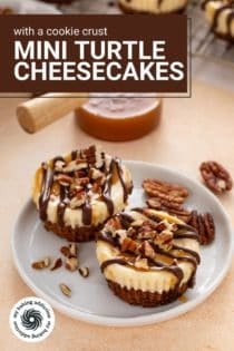Two mini turtle cheesecakes on a white plate. Text overlay includes recipe name.