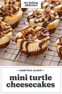 Mini turtle cheesecakes lined up on a wire rack. Text overlay includes recipe name.