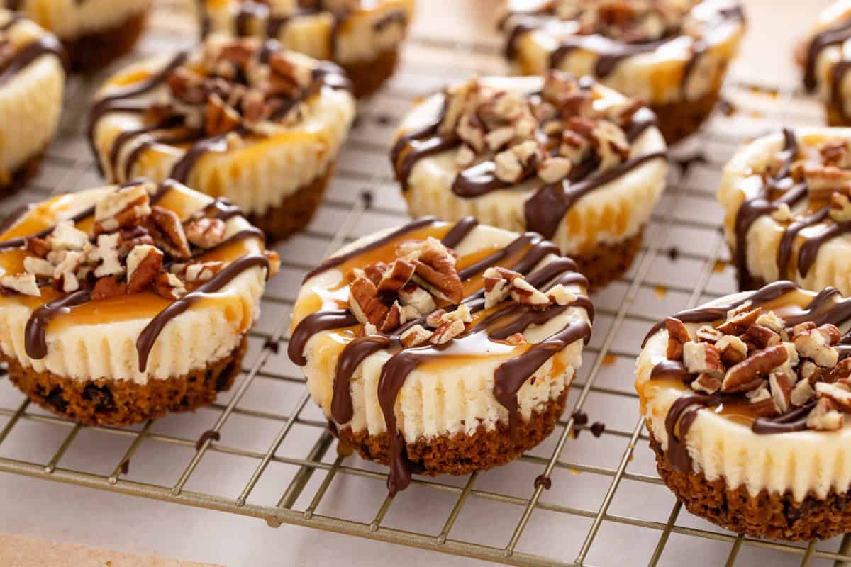 Mini turtle cheesecakes lined up on a wire rack.
