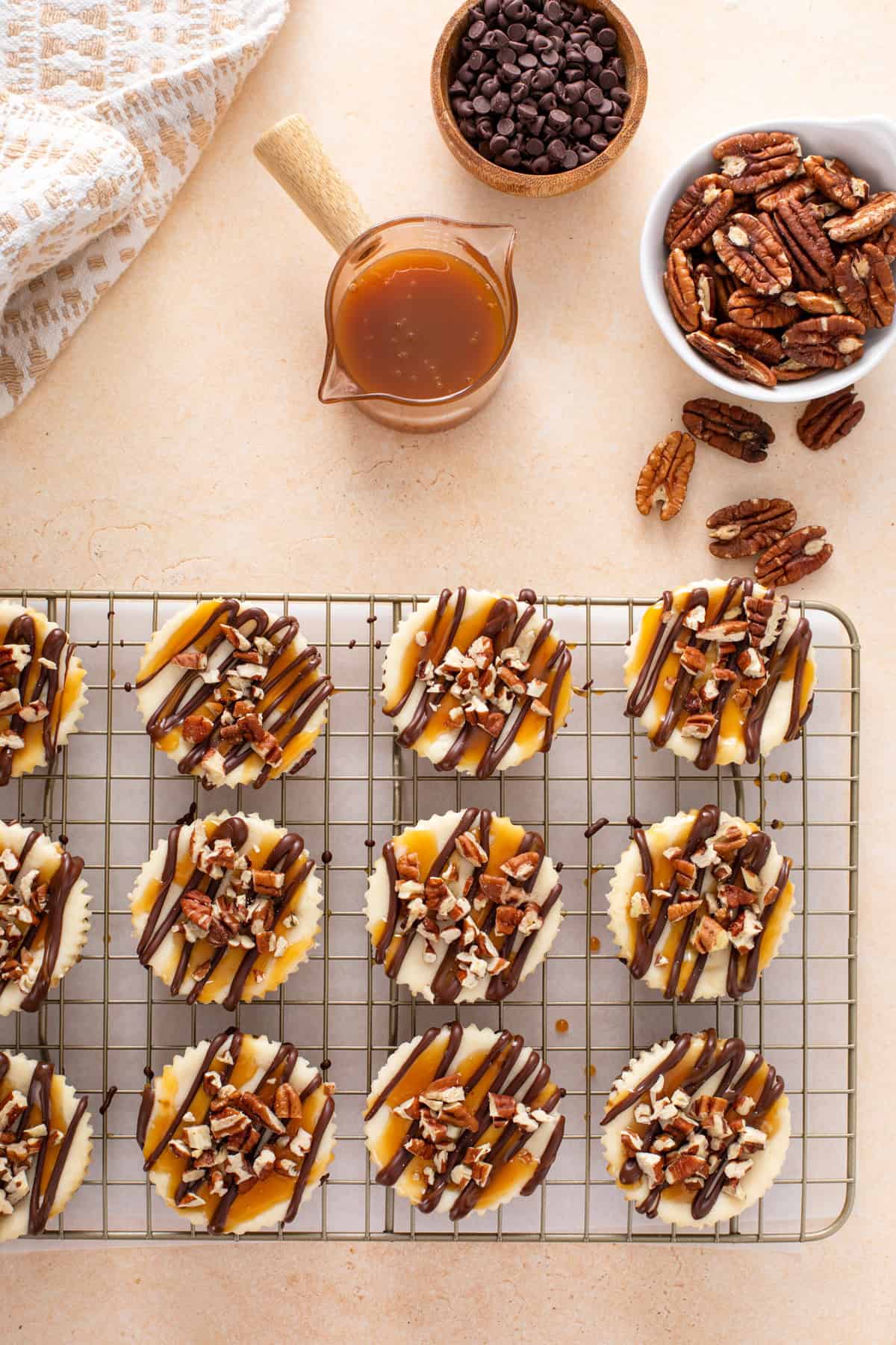 Overhead view of mini turtle cheesecakes lined up on a wire rack.