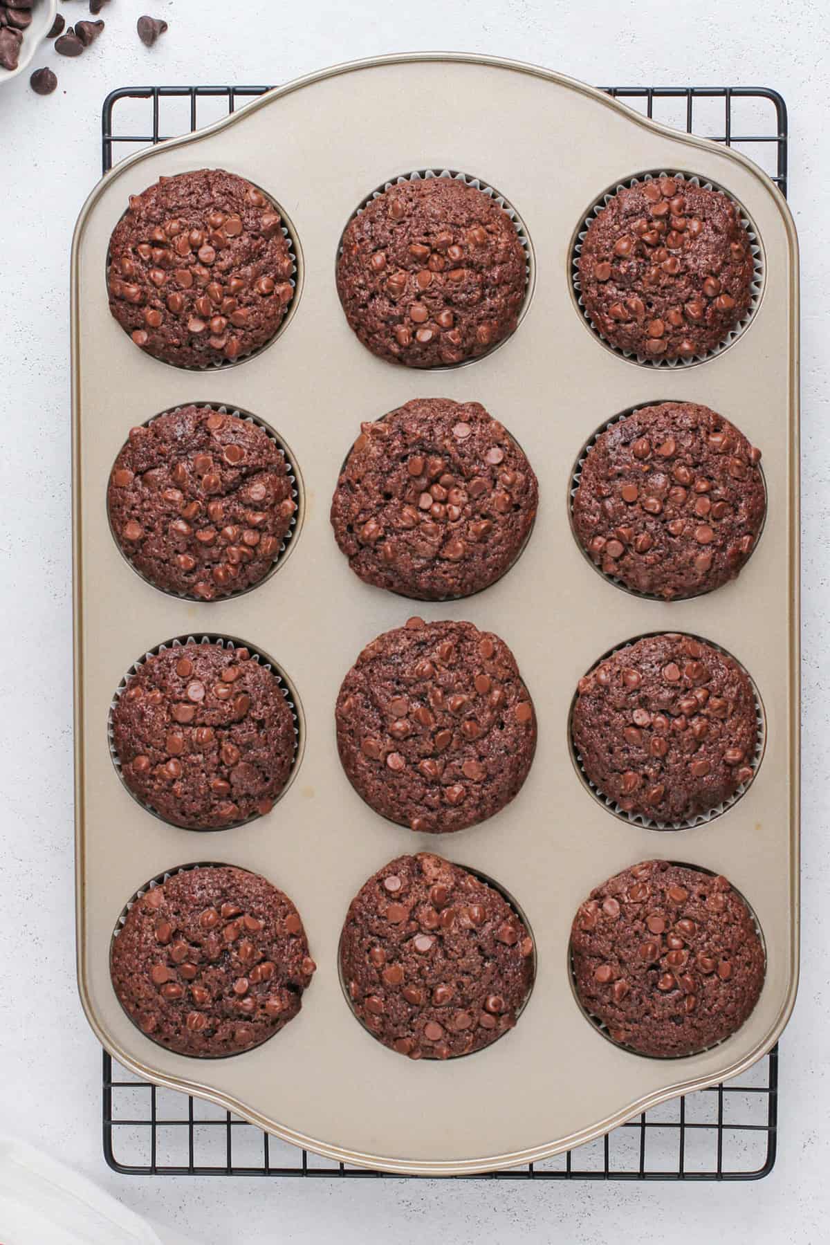 Baked chocolate zucchini muffins cooling in a muffin tin.