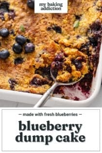 Serving spoon in a pan of blueberry dump cake. Text overlay includes recipe name.