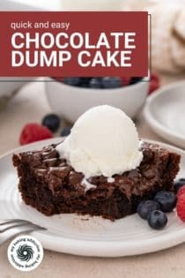 Bite taken from the corner of a slice of chocolate dump cake on a white plate. Text overlay includes recipe name.