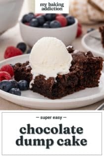 Slice of chocolate dump cake topped with a scoop of vanilla ice cream on a white plate. Text overlay includes recipe name.