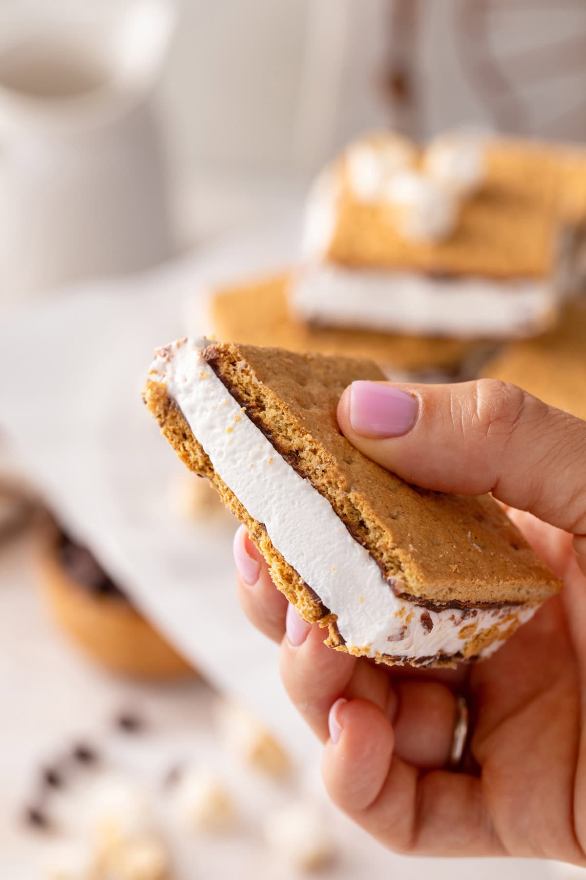 Hand holding up a frozen s'more to the camera.