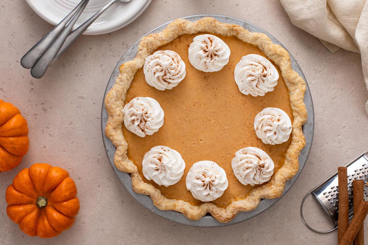 Pumpkin cheesecake pie garnished with whipped cream and dusted with pumpkin pie spice.