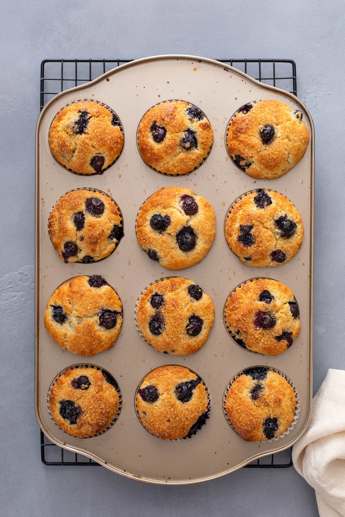 Baked lemon blueberry muffins in a muffin tin set on a wire rack.
