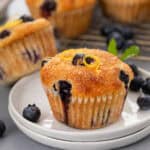 Lemon blueberry muffin on a white plate.