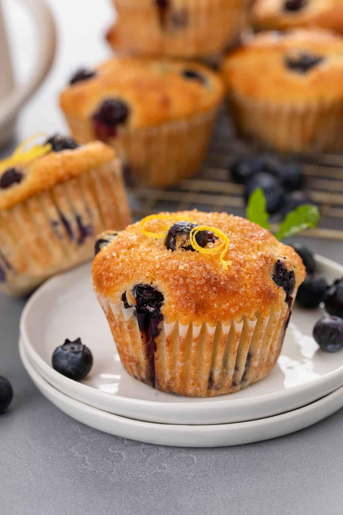 White plate holding a lemon blueberry muffin and fresh blueberries.